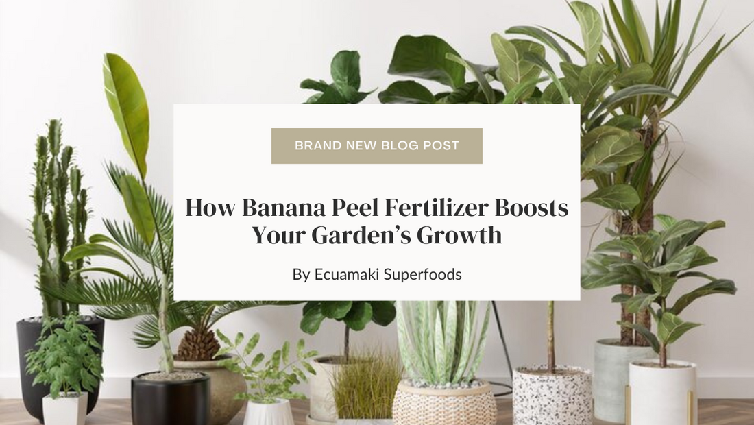 How Banana Peel Fertilizer Boosts Your Garden’s Growth
