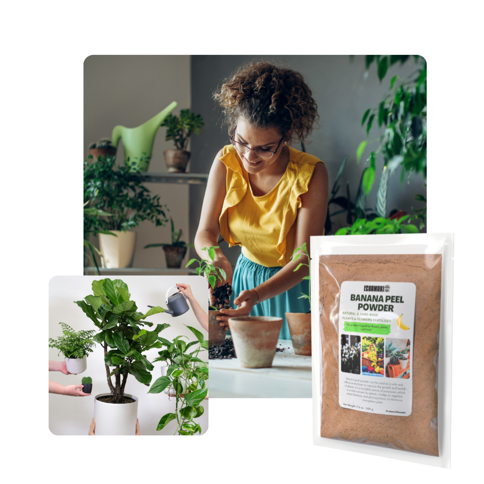 banana fertilizer for house plants Banana Peel Powder Fertilizer (500g) – Ecuamaki Store