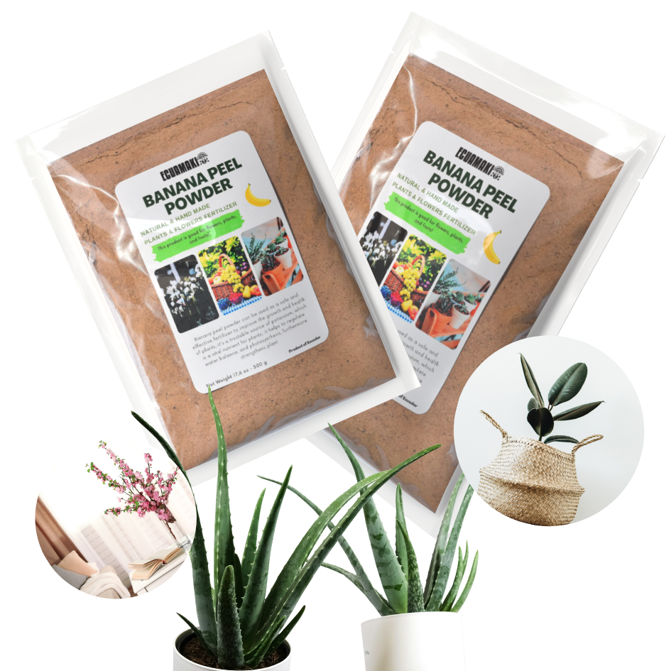 banana peel fertilizer for indoor plants Banana Peel Powder Fertilizer (500g) – Ecuamaki Store