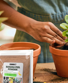 Fertilizante en polvo de cáscara de plátano (500 g)