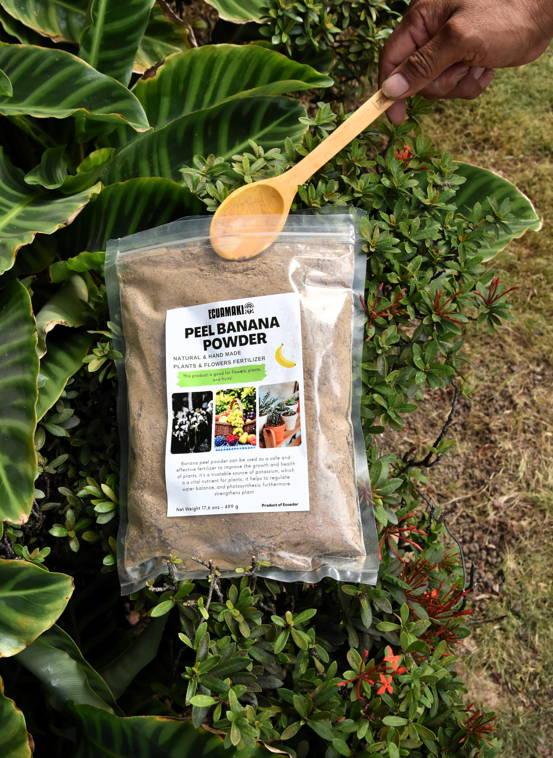 banana as fertilizer for plants Banana Peel Powder Fertilizer (500g) – Ecuamaki Store