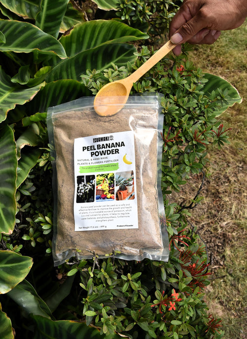 Banana Peel Powder Fertilizer (500g)