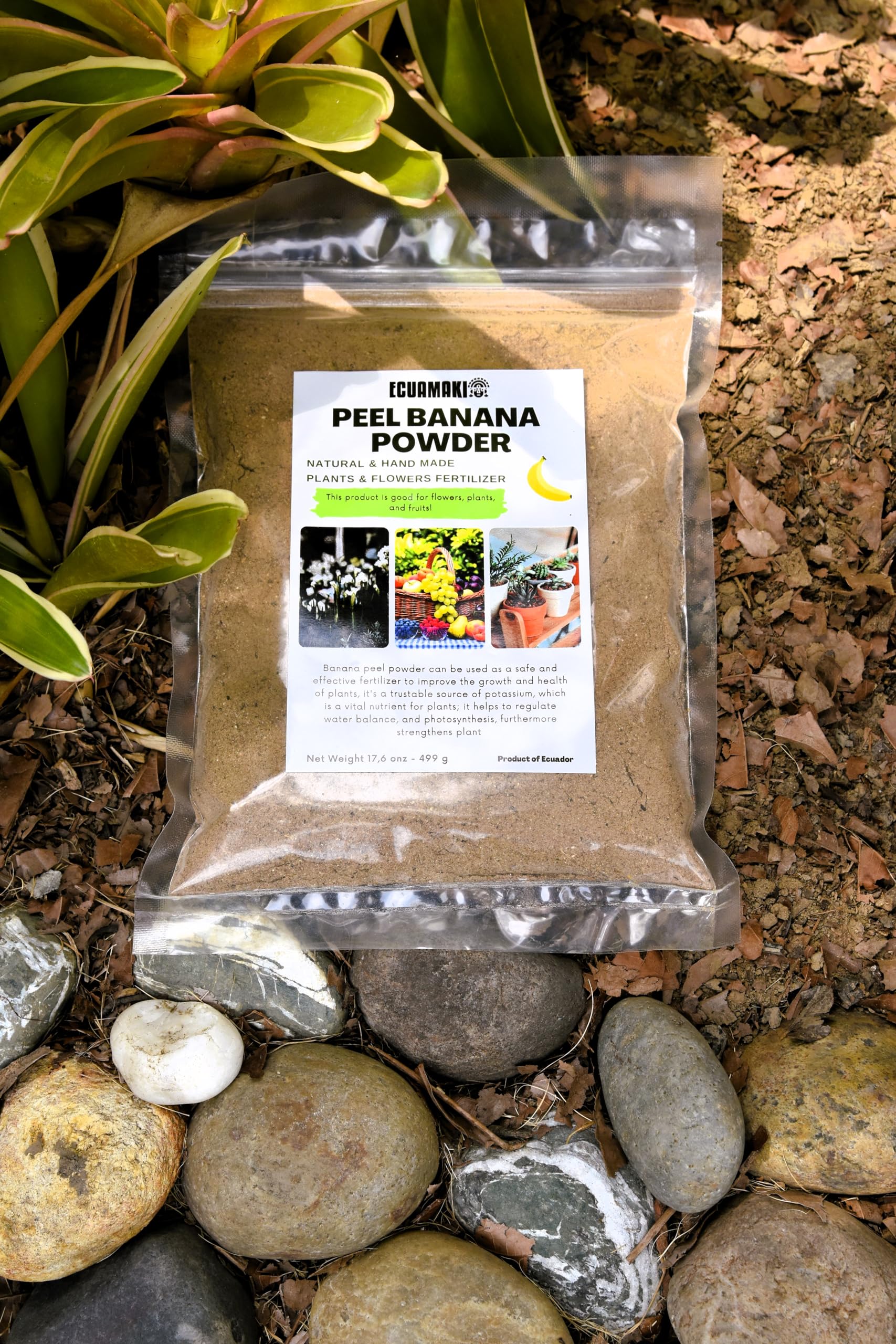 is banana peel fertilizer good for all plants Banana Peel Powder Fertilizer (500g) – Ecuamaki Store